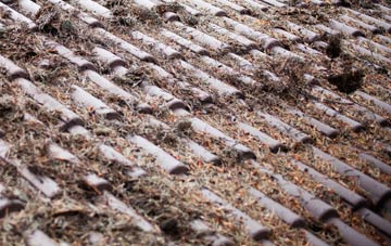 Henrys Moat roof cleaning companies