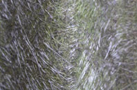 Henrys Moat fibreglass roof work